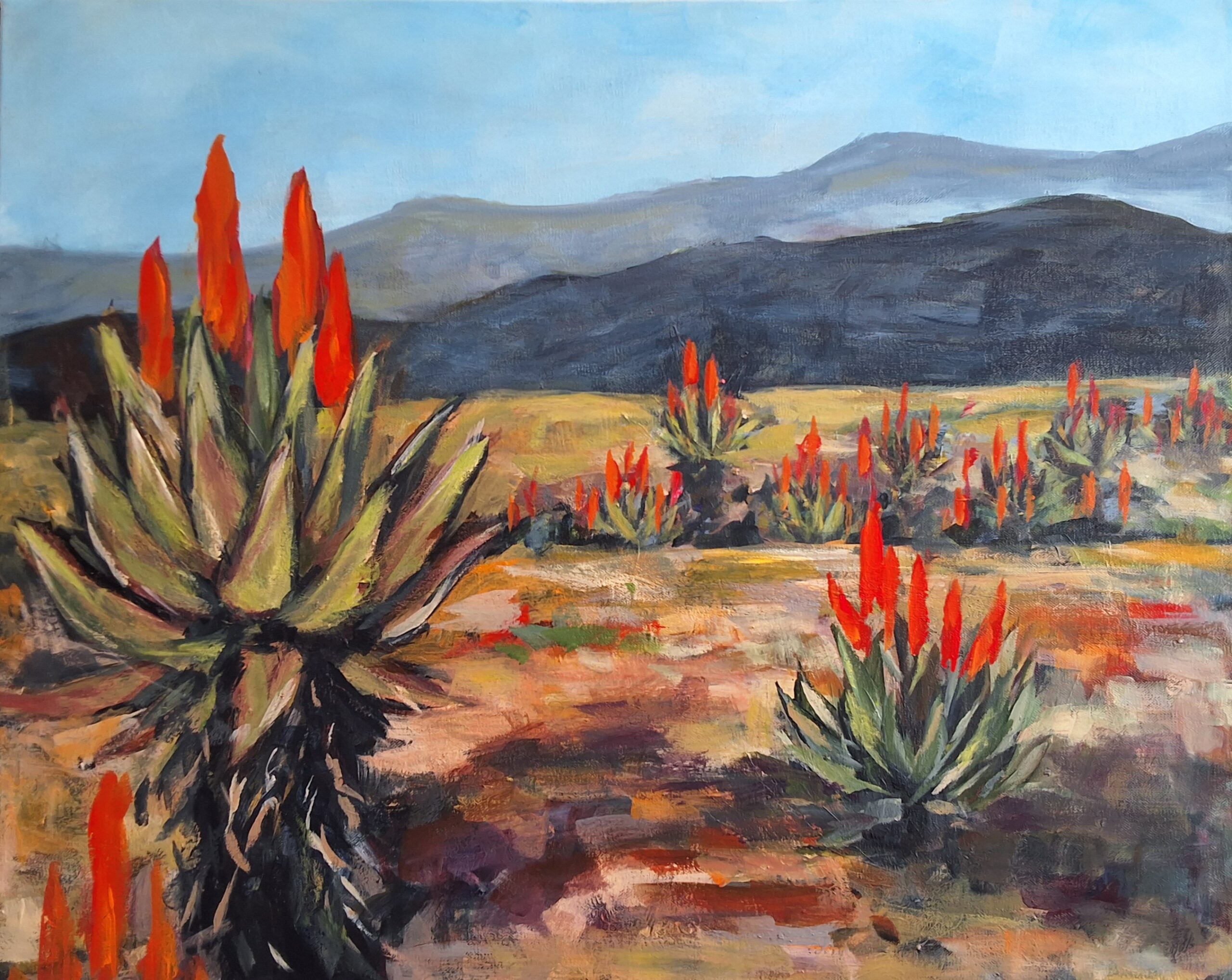 Original aloe landscape painting with fiery Aloe ferox blooms by South African artist Juanita Hackart