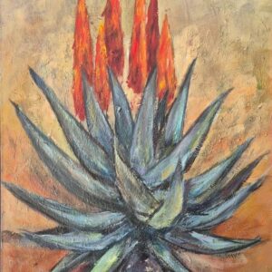 Original aloe painting of a blooming Aloe ferox by South African artist Juanita Hackart